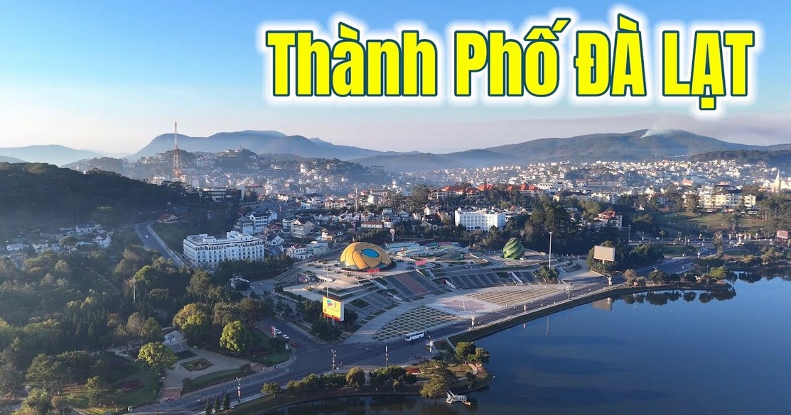 Cách Gửi Hàng Xe Khách Đi Đà Lạt Nhanh Nhất Hiện Nay: Bí Quyết "Hỏa Tốc" 6 Tiếng & Hướng Dẫn Chi Tiết A-Z