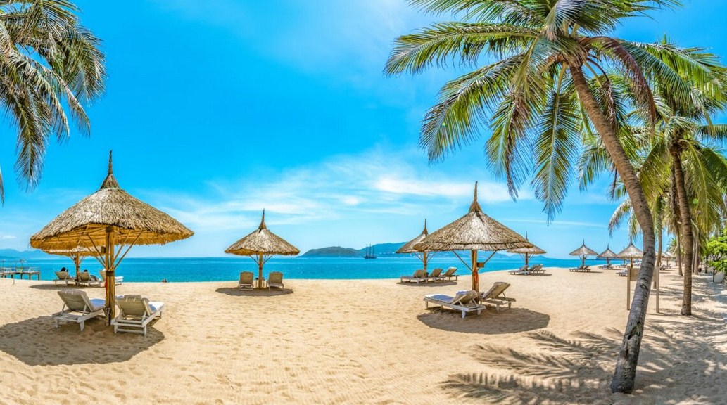 Giá Vé Xe Limousine Quận 11 Đi Nha Trang 2026: Bảng Giá Chi Tiết & Bài Toán Tiết Kiệm Cho Cư Dân Đầm Sen