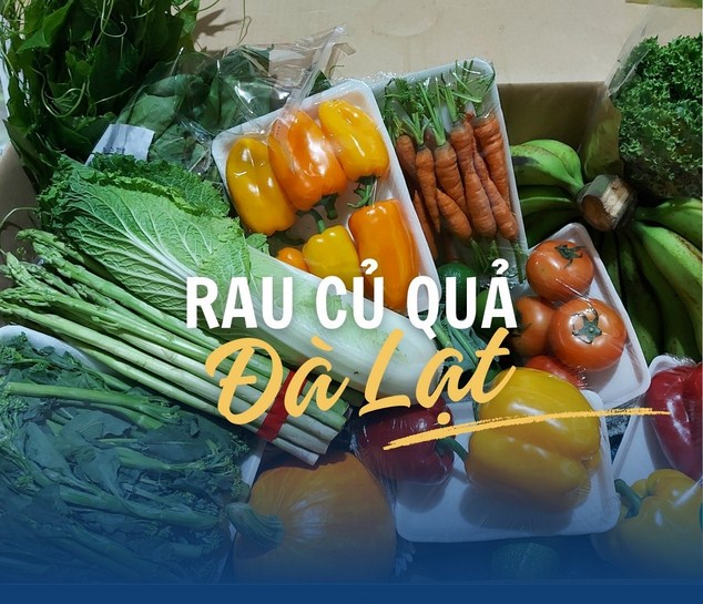 Gửi Hàng Thực Phẩm, Rau Củ Từ Đà Lạt Về Sài Gòn: Bí Quyết Đảm Bảo Tươi Ngon "Chuẩn Vườn" & Giải Pháp Vận Chuyển Tốc Độ