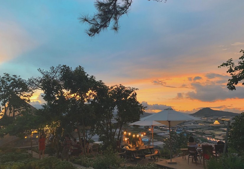 Top 20+ Quán Cafe Đẹp Nhất Đà Lạt 2026: Thiên Đường Sống Ảo Không Thể Bỏ Qua
