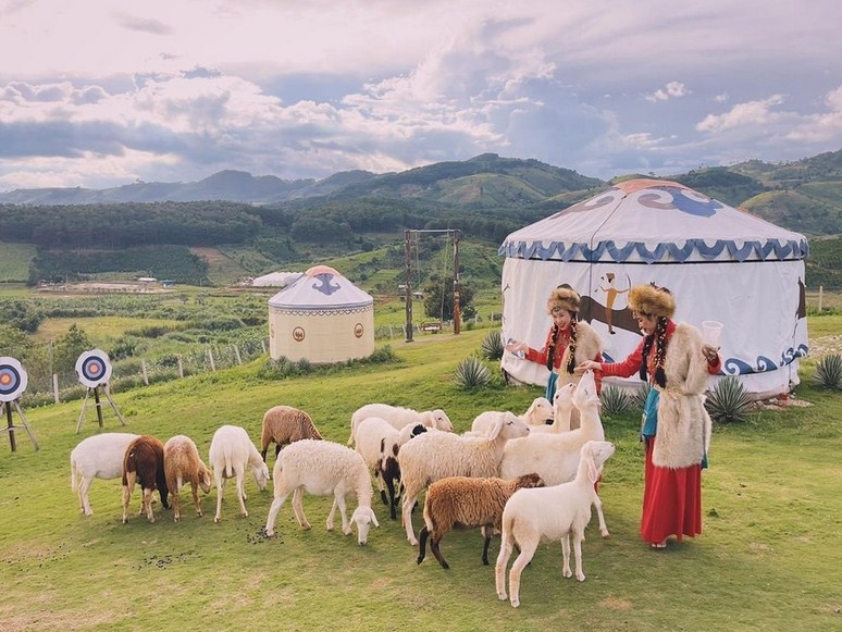 Top 7 Tour Đà Lạt Trong Ngày Đáng Chọn Nhất 2026: Săn Mây, Check-in & Khám Phá Ngoại Ô