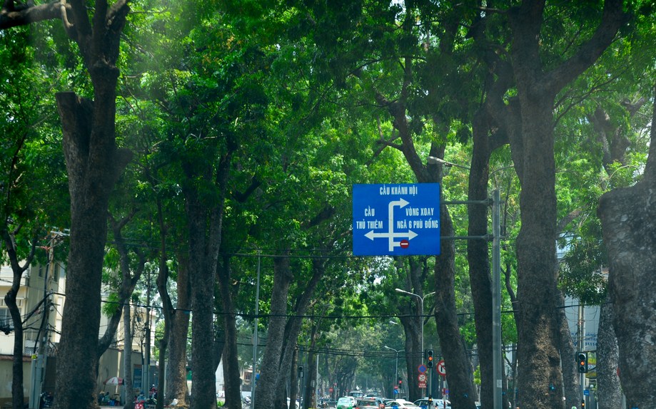 CHÀNH XE ĐƯỜNG TÔN ĐỨC THẮNG ĐI ĐÀ LẠT | BÌNH MINH TẢI – GIẢI PHÁP GỬI HÀNG CAO CẤP TỪ TRỤC ĐƯỜNG VEN SÔNG