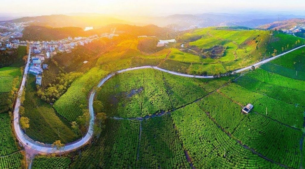 Chành xe Sài Gòn đi Đà Lạt giá rẻ – Giải pháp vận chuyển tiết kiệm cho mọi nhu cầu