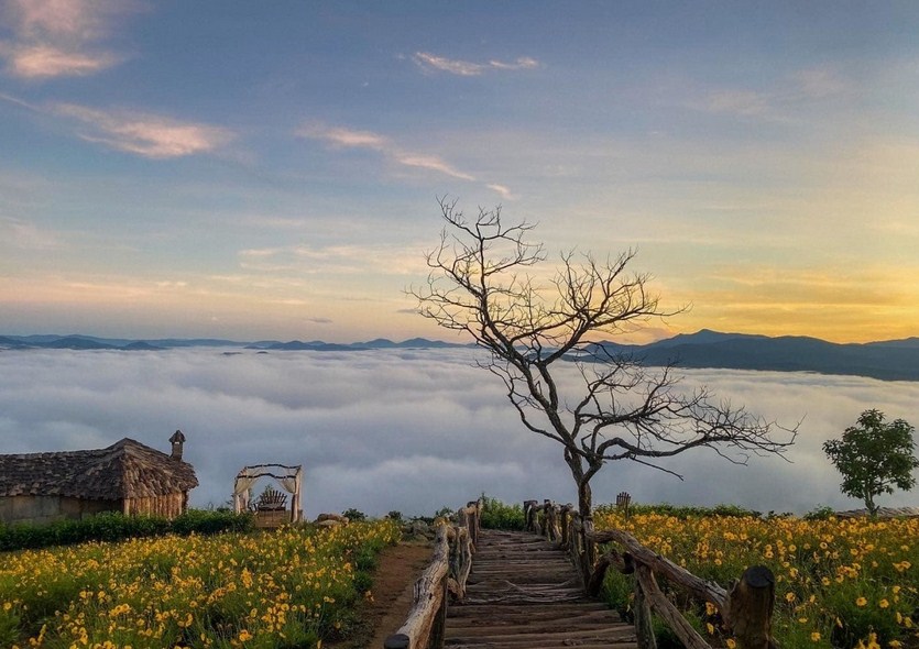 CHÀNH XE SÀI GÒN NHA TRANG CHUYÊN TUYẾN - KINH NGHIỆM DẪN ĐẦU, UY TÍN HÀNG ĐẦU CÙNG BÌNH MINH TẢI