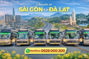 Chành Xe Sài Gòn Đà Lạt An Toàn: Hành Trình Tin Cậy Được Xây Bằng Trách Nhiệm