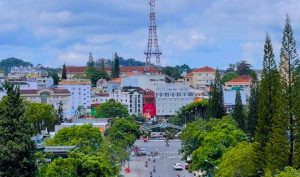 Chành Xe Sài Gòn Đà Lạt Giá Tốt: Tiết Kiệm Thông Minh Không Phải Là Sự Cắt Giảm Chất Lượng