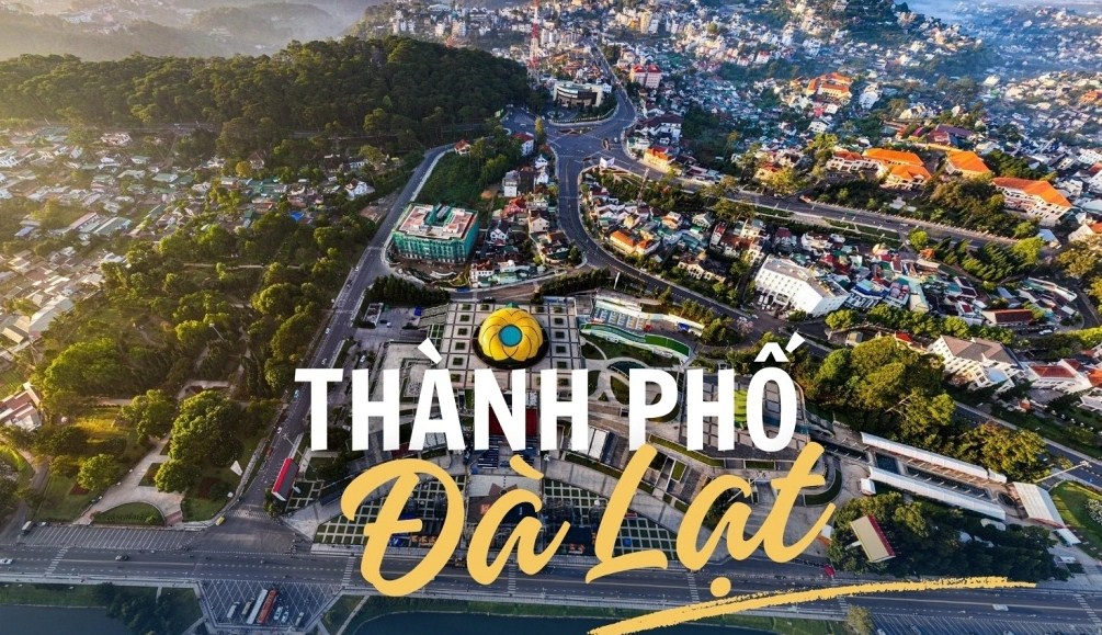 Chành Xe Sài Gòn Đà Lạt Hàng Cồng Kềnh: Nghệ Thuật Chinh Phục Những Khoảng Không Gian Đặc Biệt
