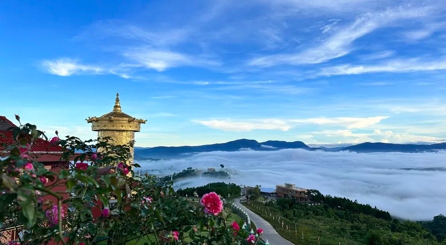 Chành Xe Sài Gòn Đà Lạt Nhận Hàng Trong Ngày: Giải Pháp Vận Chuyển Tốc Hành Tin Cậy