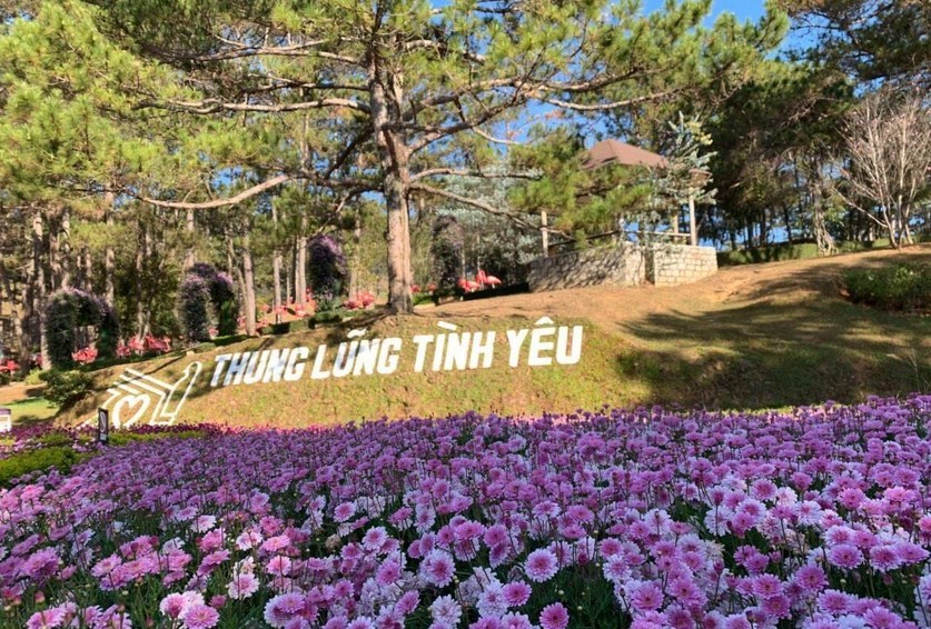 Chành Xe Sài Gòn – Đà Lạt Báo Giá Nhanh 5 Giây: Gửi Hàng Siêu Tốc, Cước Phí Cạnh Tranh Nhất 2026